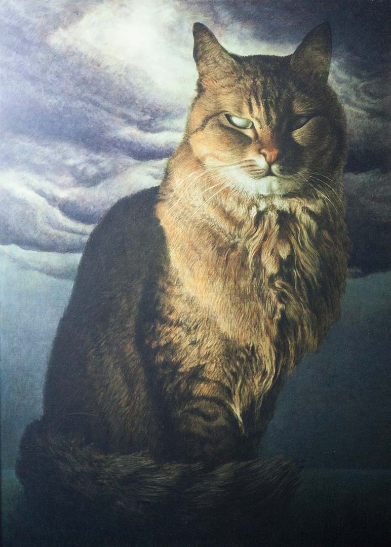 Dignitosamente gatto – OLIO SU TELA, 60×80 cm